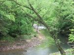 Trail near our campsite